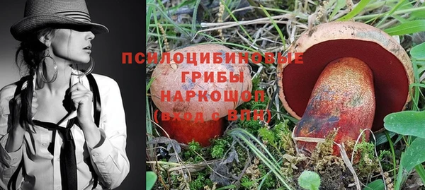 винт Аркадак
