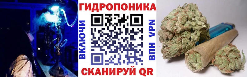 Шишки марихуана THC 21%  Среднеуральск 